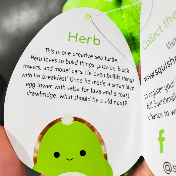 8" Squishmallow Herb the turtle - Picture 3 of 3